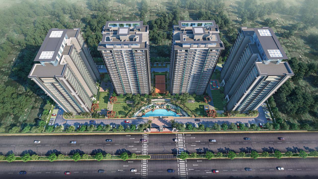 Elder Trinity Top View